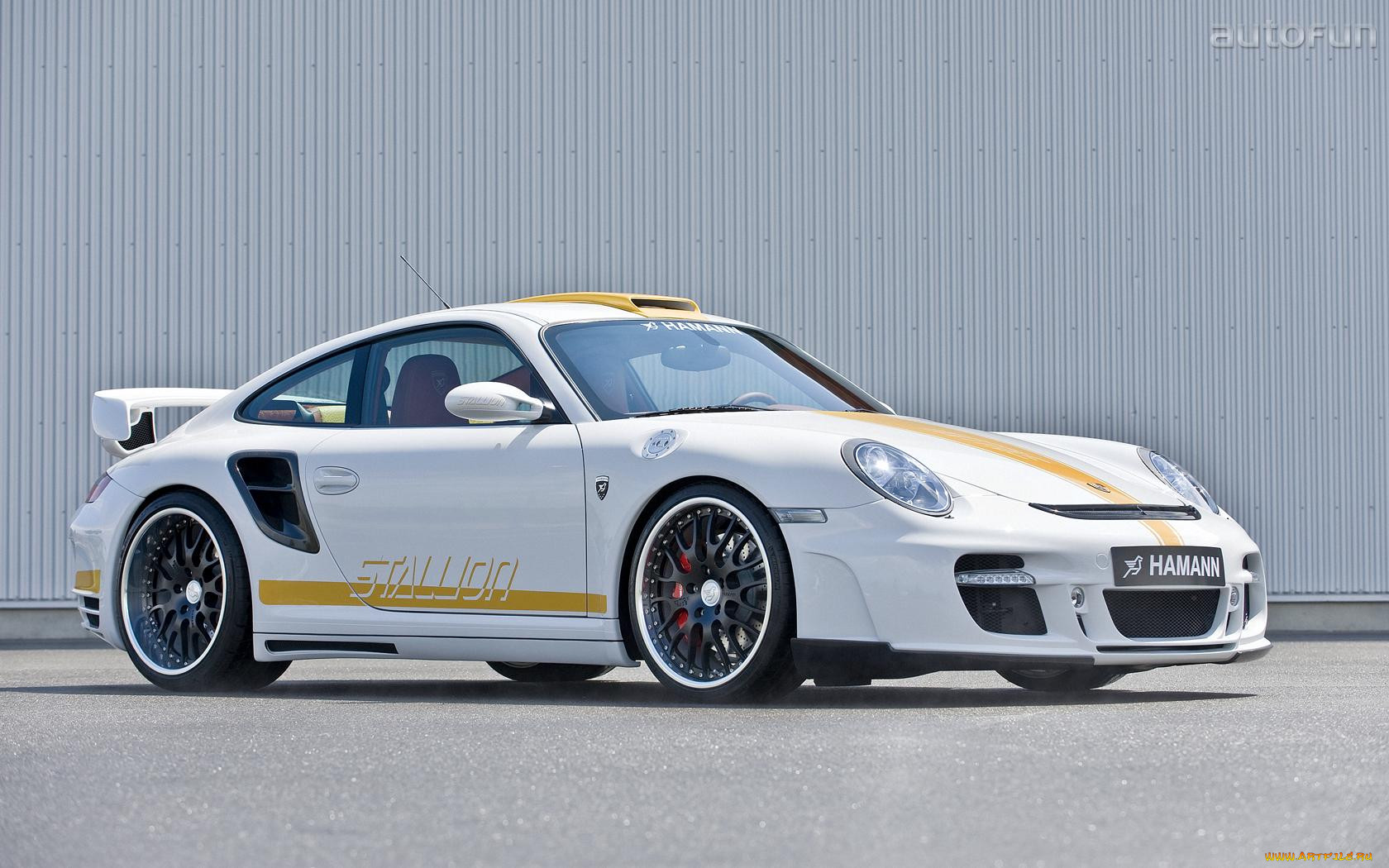 hamann, stallion, , porsche